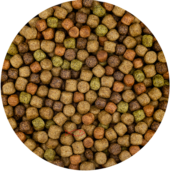 BluFeed - Premium Japan Mix - Koi - Visvoer Vijver - 6mm - 6kg